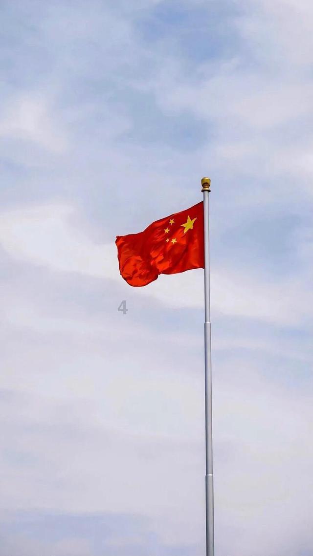 卑鄙的小妖精